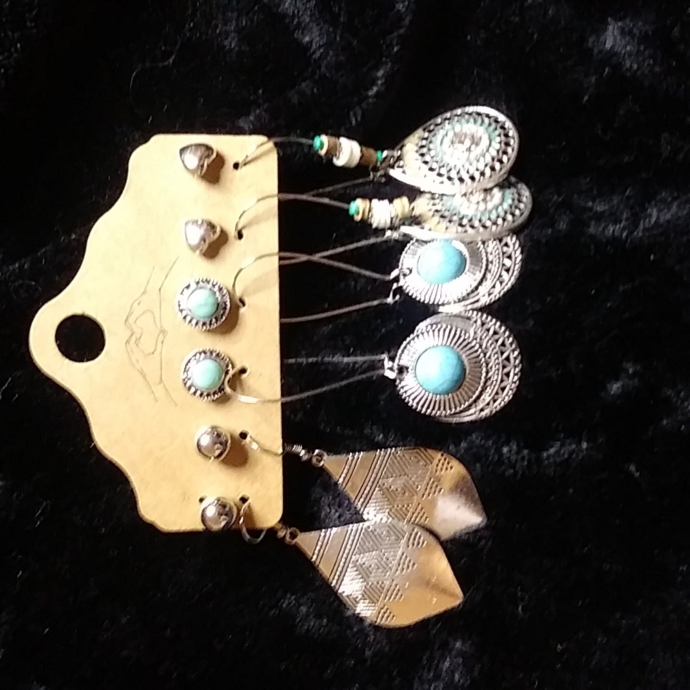Earrings